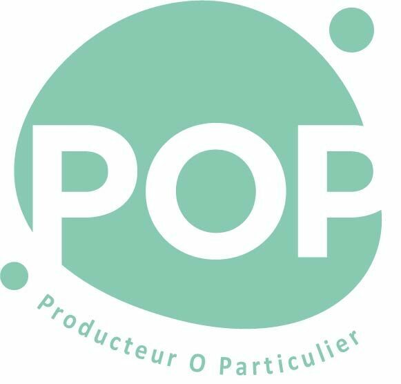 DEV1 – Site Copie